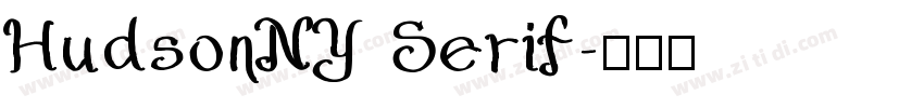 HudsonNY Serif字体转换
